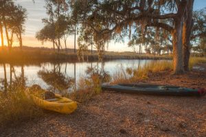 Two kayaks resting along the edge of the marsh at sunset with trees reflecting off of the water